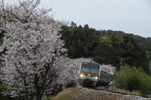 朝倉駅～枝川駅　南風11号　中村行き