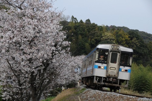 同じく　759D　須崎行き