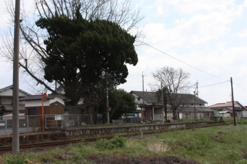 網引駅