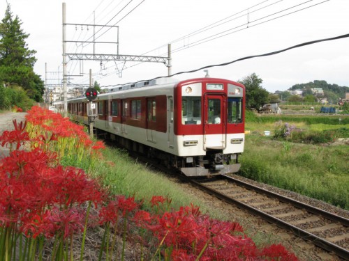 彼岸花の咲く頃