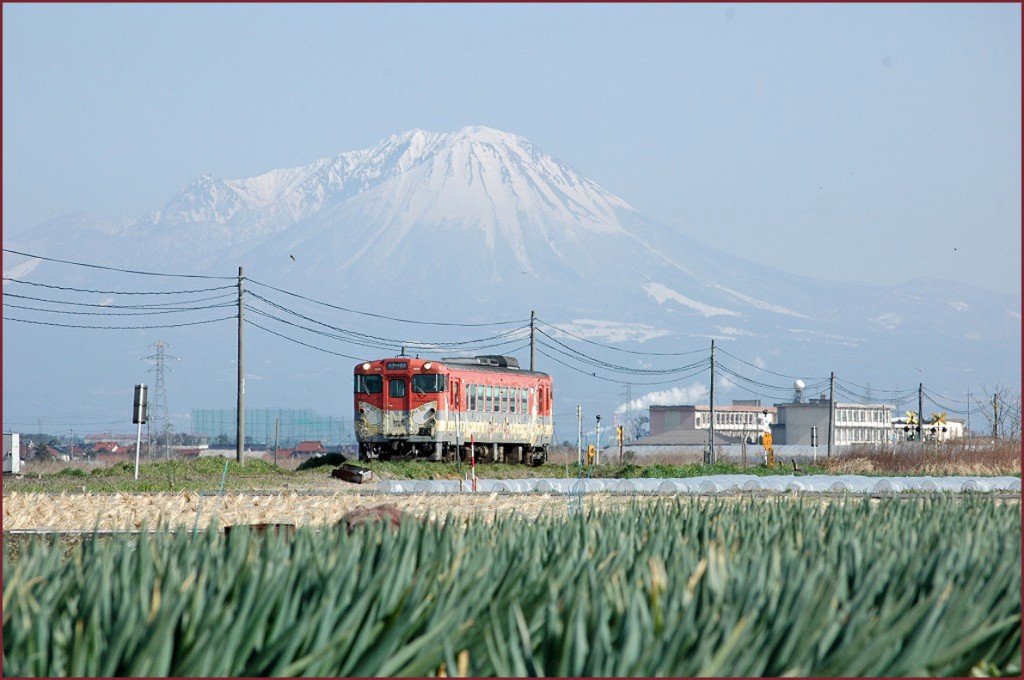 残雪大山とネギ畑_1