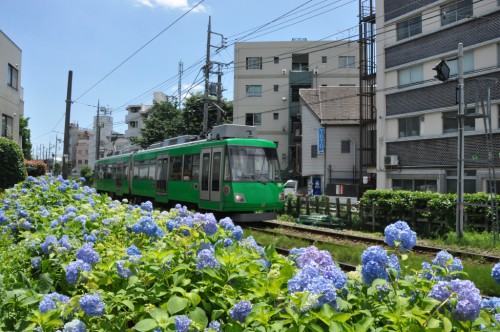 世田谷線20140613-2