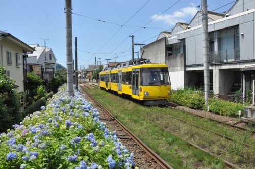 世田谷線20140613-1