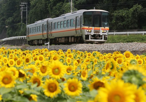 2014盛夏お見舞い申し上げます/2014.07.29/Posted by 893-2