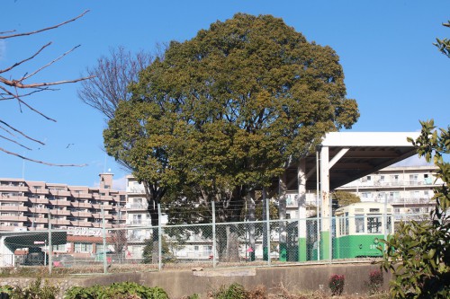 s-12.12.26豊田市交通公園名古屋1814