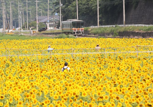 2014盛夏お見舞い申し上げます/2014.07.29/Posted by 893-2