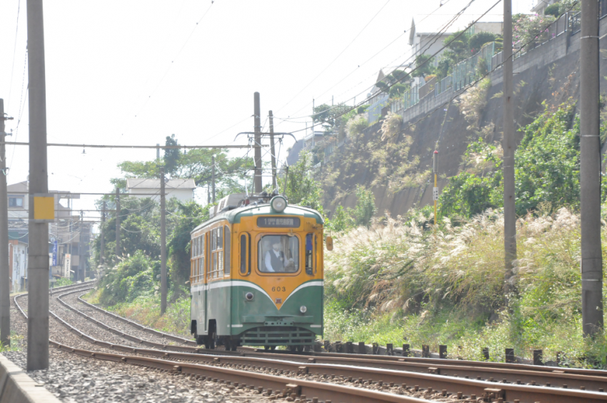 鹿児島2014DSC_0519