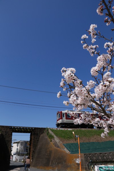 大和鉄道の名残を走る田原本線-1w