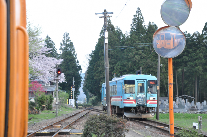 樽見20150409DSC_2366