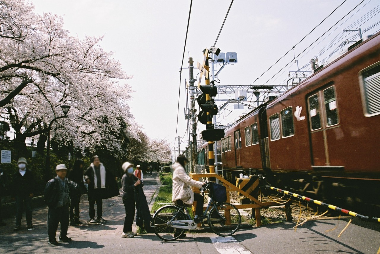 阪急2300と柴島浄水場の桜（中間車）-1