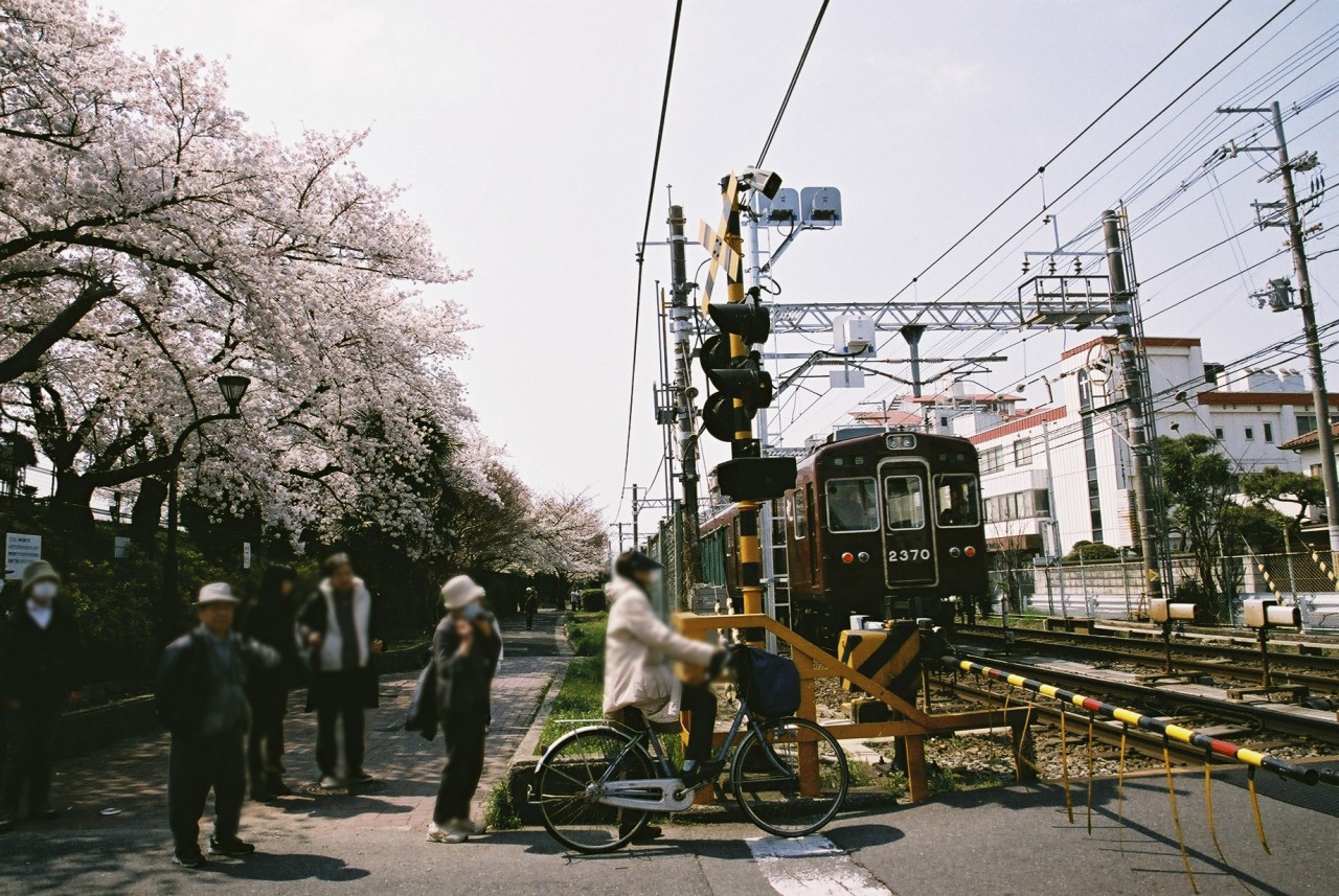 阪急2300と柴島浄水場の桜-1