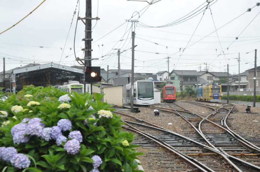 豊橋20150611DSC_0472