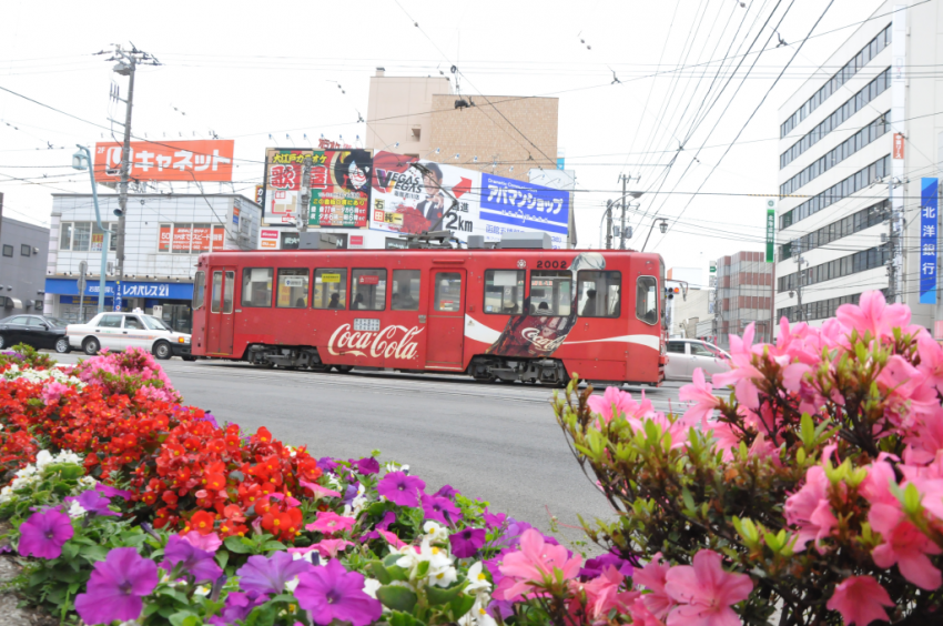 あじさい2015DSC_1465