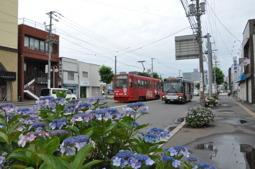 函館まつりDSC_6396