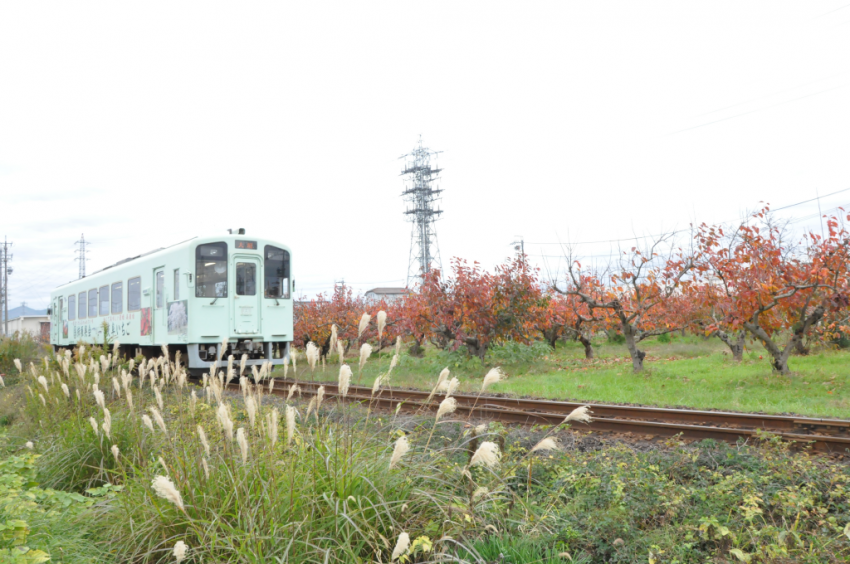 樽見鉄道DSC_6749