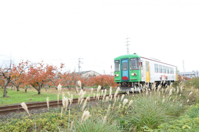 樽見鉄道DSC_6725