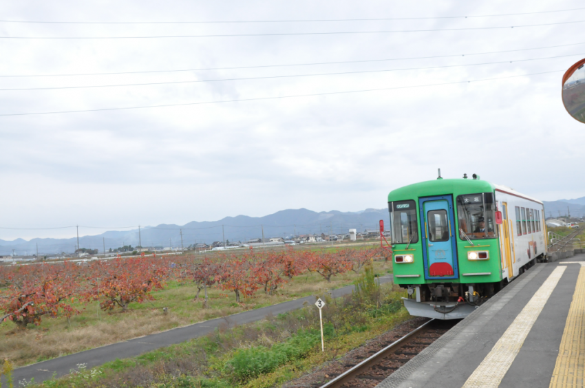 樽見鉄道DSC_6786