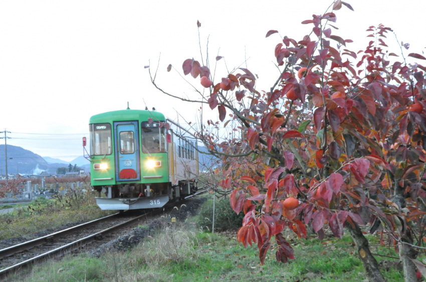 樽見鉄道DSC_6605