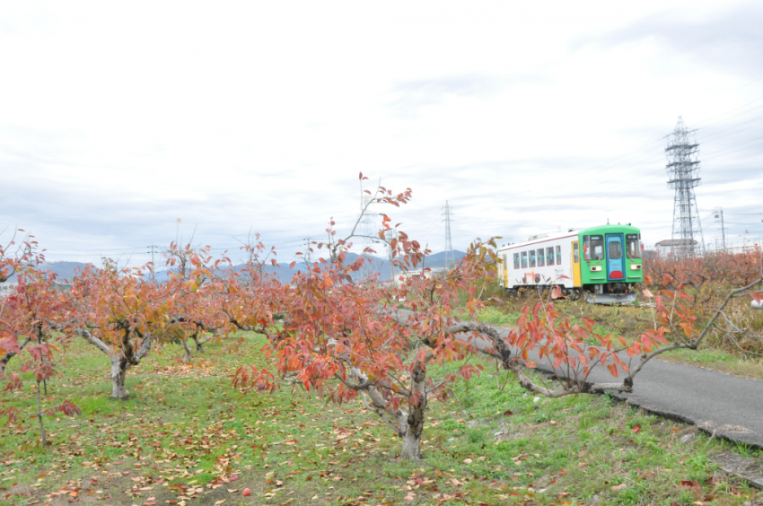 樽見鉄道DSC_6683