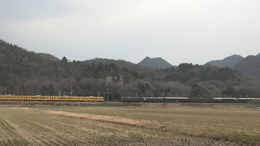 黄色い電車とのツーショット！