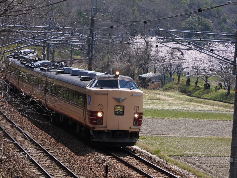 場所は上の113系と同じ。線路を潜ると山の斜面。枝を祓い、枯れススキを掴み擦り傷だらけになったけど斜面に取り付いた。ナイフ、軍手は必須である。それにしてもここは多分誰も撮っていない。