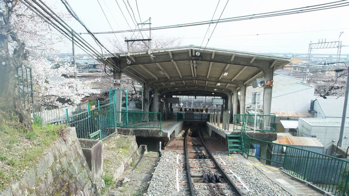 八幡市駅を見下ろす。桜は両側に咲いているが、電車は見えない。