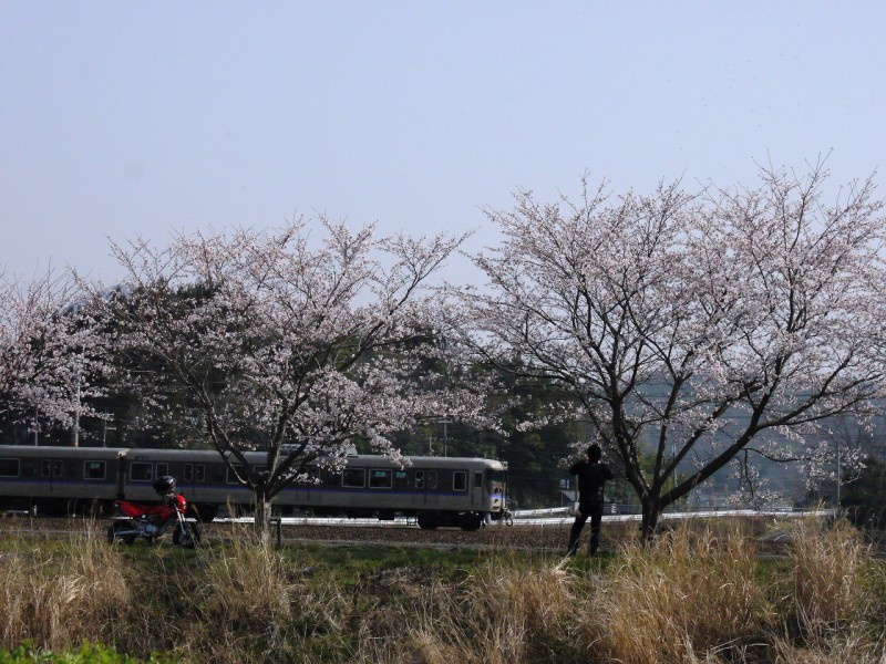 もういないカフェオレ色の113系。電車がくるときにバイクのお兄さん。これはどうしようもない。私が川を挟んで反対岸に居るなんて分からんわねえ