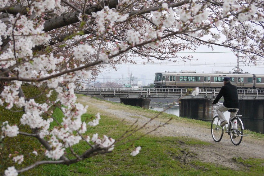 土手は市民の散歩道。こんな光景は茶飯事。