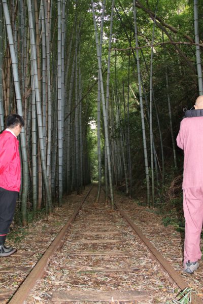 薄暗い竹林の中を進む