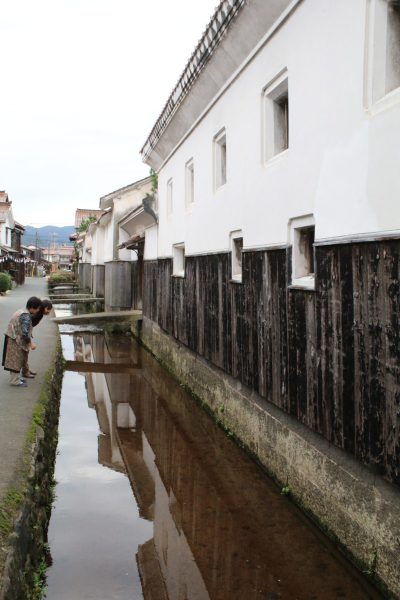 白壁土蔵群　小鴨川を水源とする流れには鯉やナマズの姿があった