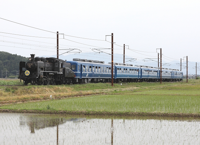 ありがとうC56　in　北陸本線/2018.06.07/Posted　by　893-2