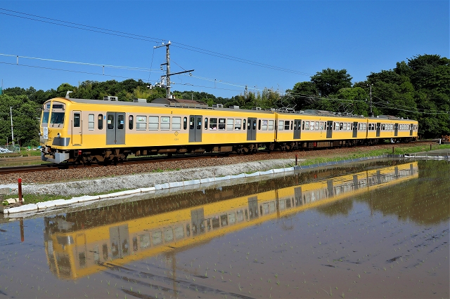 伊豆箱根鉄道駿豆線田植えの頃/2019.08.01/Posted by　893-2