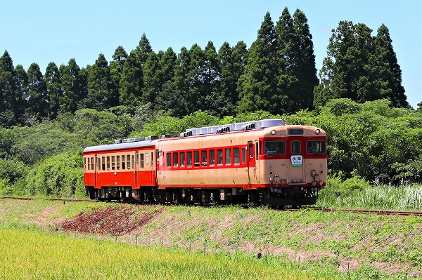 いすみ鉄道キハ28引退/2022.9.27/Posted by 893-2