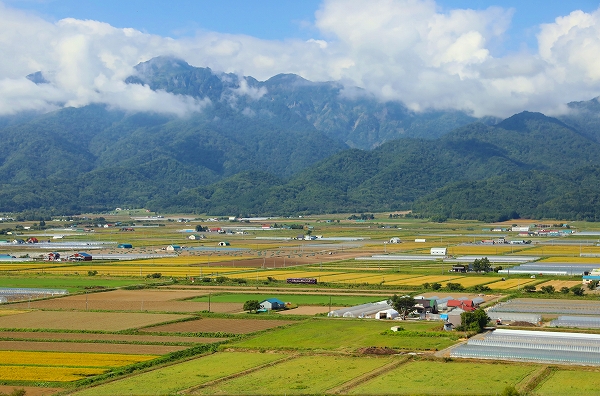 廃止間近根室本線富良野～新得/2024.2.03/Posted by 893-2