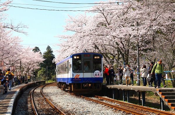 祝！復旧　のと鉄道1/2024.4.21/Posted by 893-2