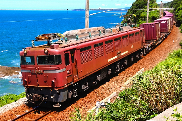 運用が減少したEF81の貨物列車/2024.9. 28/Posted by 893-2